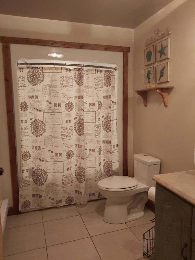 Upper Humber Settlement A Farmstay B&B Cormack Dış mekan fotoğraf