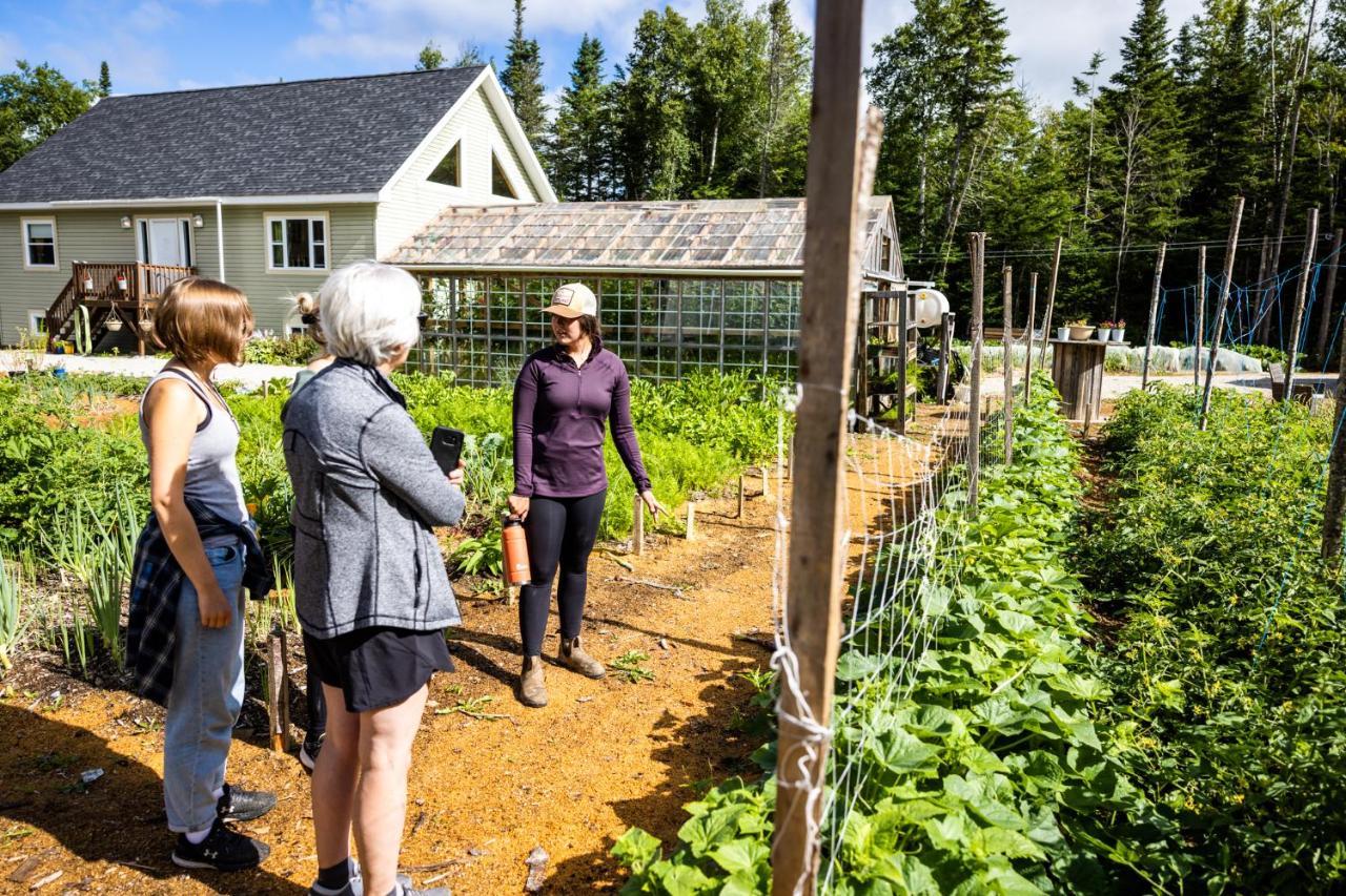 Upper Humber Settlement A Farmstay B&B Cormack Dış mekan fotoğraf