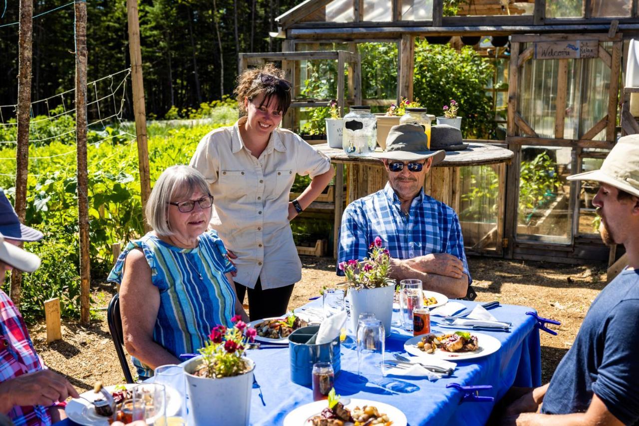 Upper Humber Settlement A Farmstay B&B Cormack Dış mekan fotoğraf